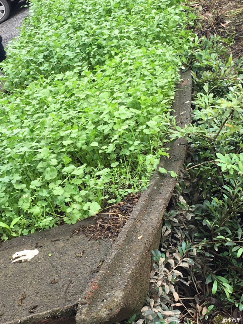 福通币苹果版薪福通电脑版下载官方免费