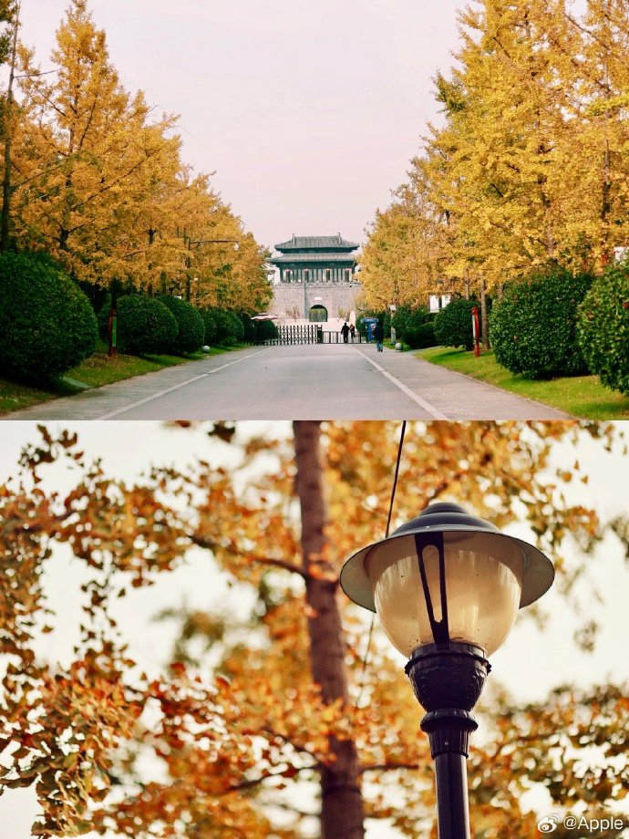扬州发布苹果版扬州网扬州门户第一网-第2张图片-太平洋在线下载