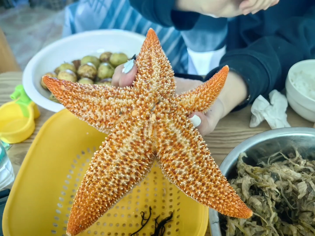 安卓版海星海星tv安卓版下载-第2张图片-太平洋在线下载
