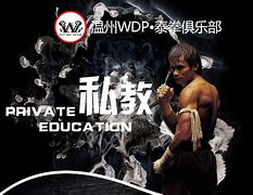 epsxe泰拳安卓版安卓epsxe模拟器历史版本